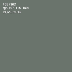 #6B736D - Dove Gray Color Image